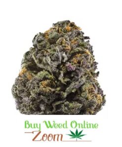 buy granddaddy purple strain at buy weed online zoom | order cannabis online