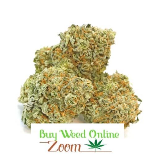 Blueberry kush strain | buy weed online | order cannabis online